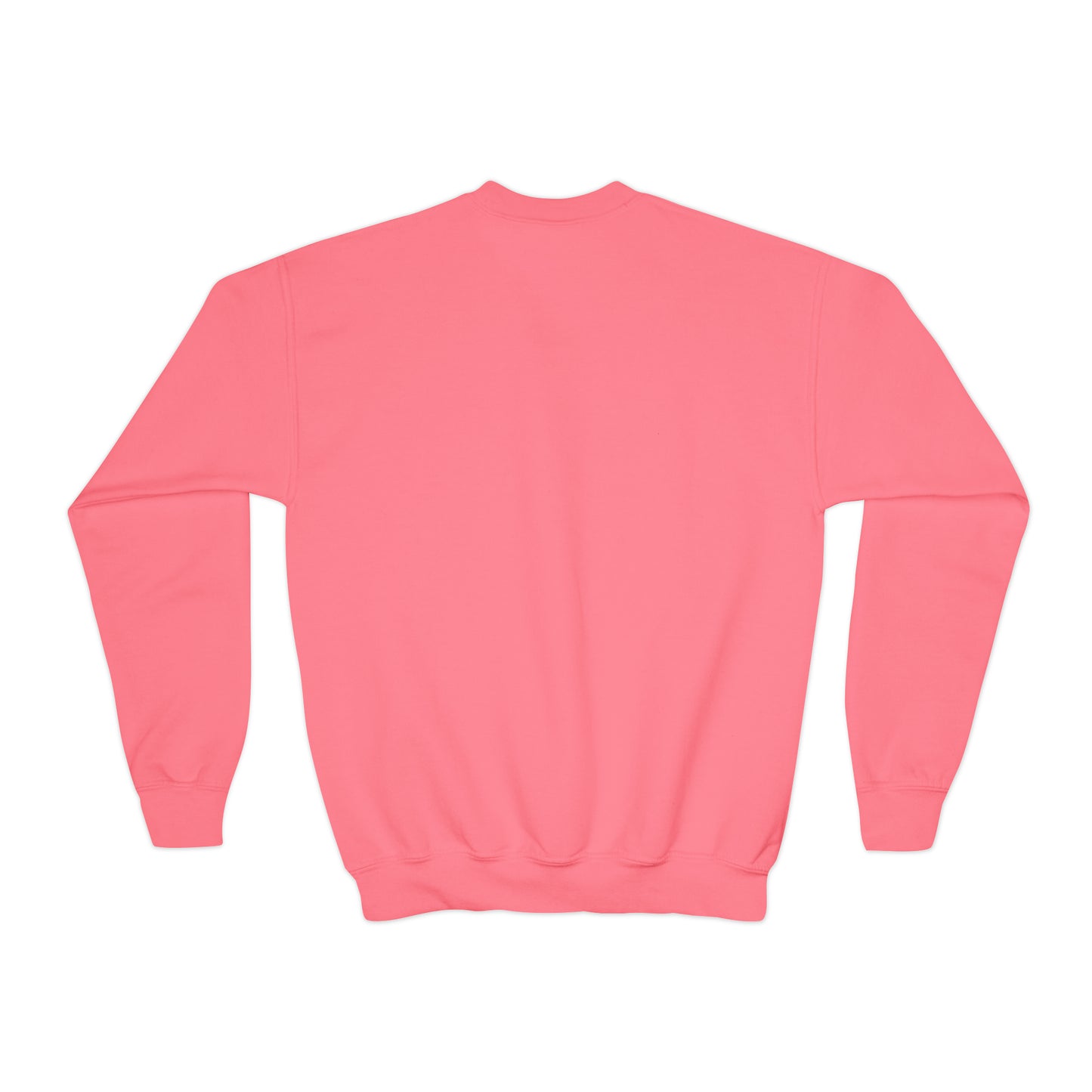 (YOUTH) 8A CN SWEATSHIRT